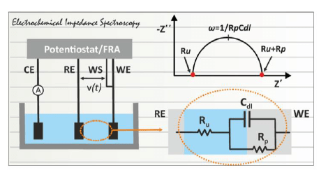 Schéma de la spectroscopie d'impédance électrochimique